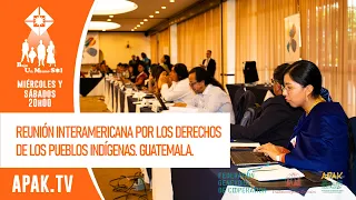 Reunión Interamericana por los derechos de los Pueblos Indígenas. Guatemala