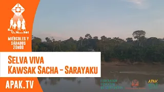 Selva viva Kawsak Sacha - Sarayaku