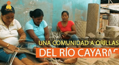 LA COMUNIDAD API EN BORBON