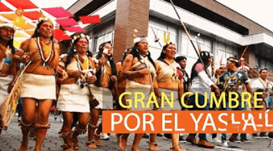 GRAN CUMBRE INTERNACIONAL POR EL YASUNÍ