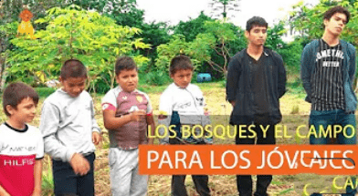 Pemacultores jóvenes