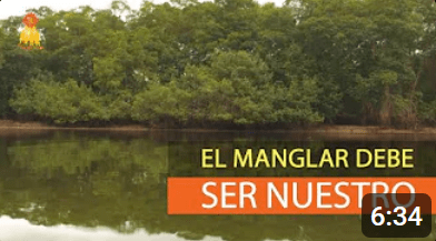 EL MANGLAR DEBE SER NUESTRO